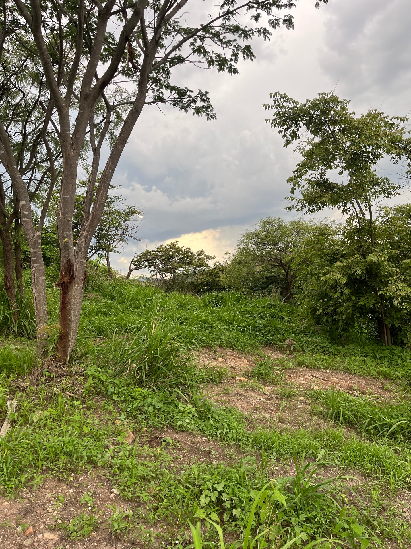 Terreno Plano en Las Cañadas country club