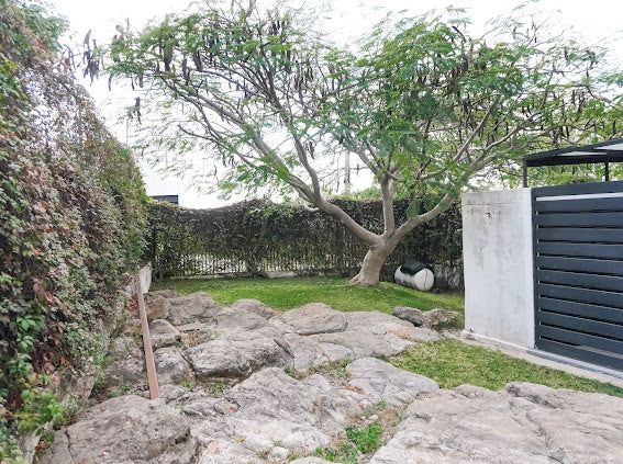 Casa con un estilo industrial único en Zapopan