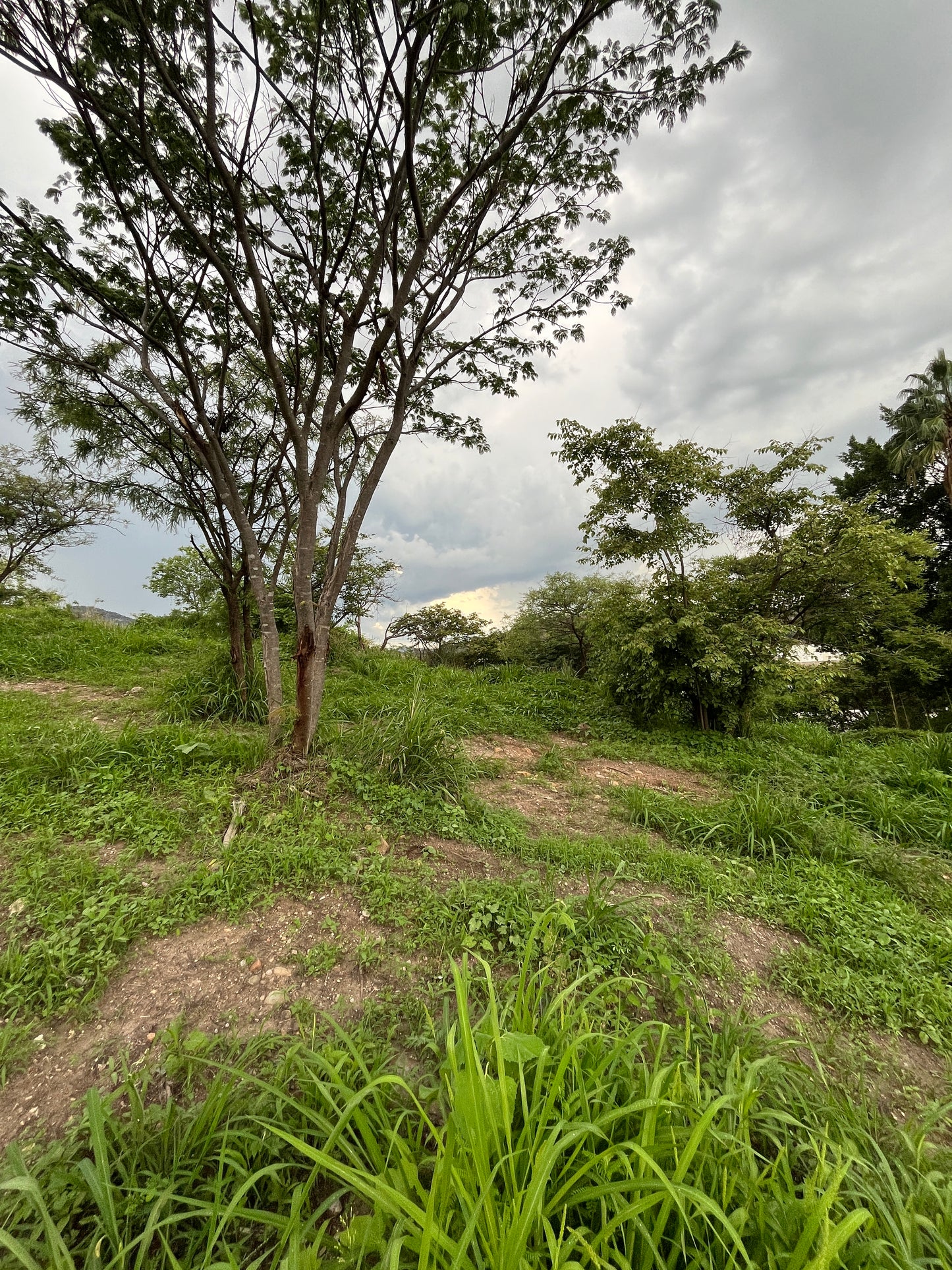 Terreno Plano en Las Cañadas country club