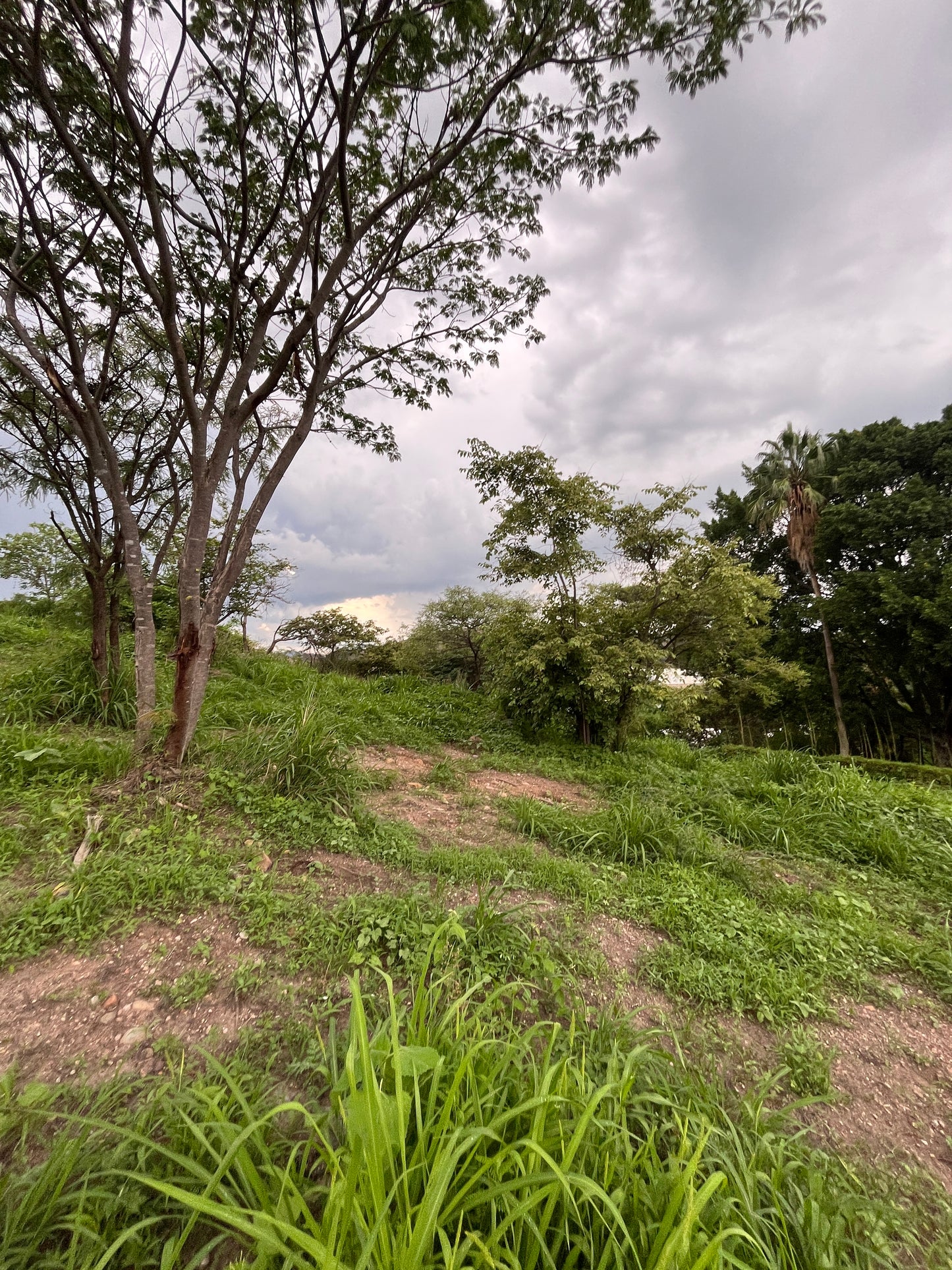 Terreno Plano en Las Cañadas country club