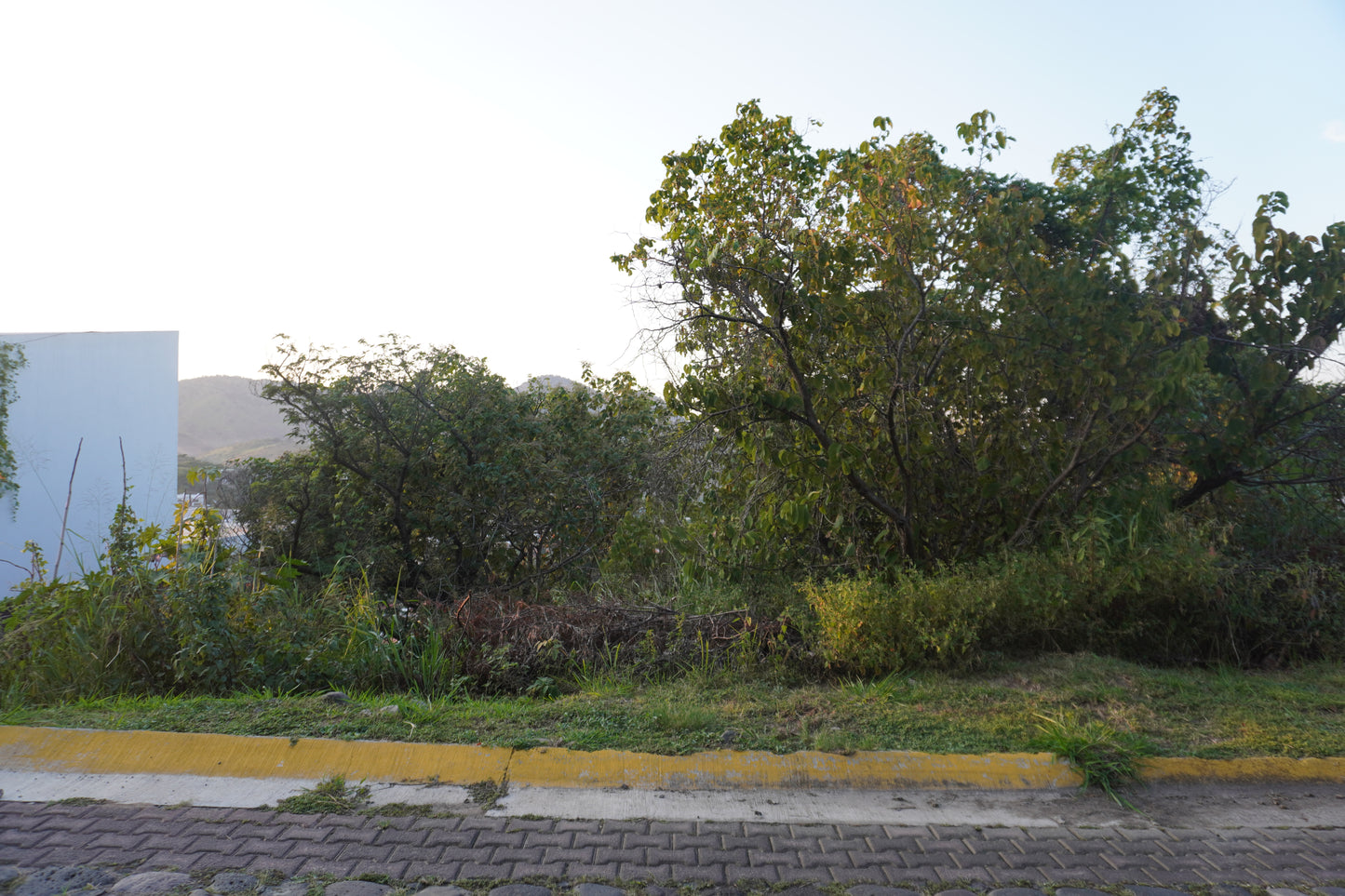 Terreno en las cañadas