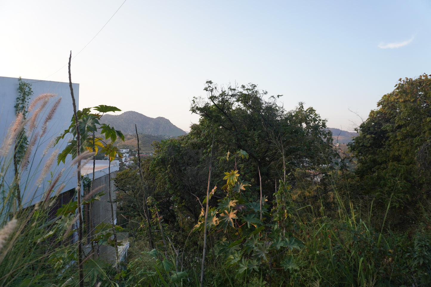 Terreno en las cañadas