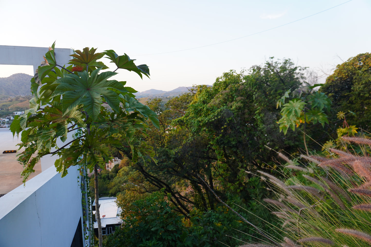 Terreno en las cañadas