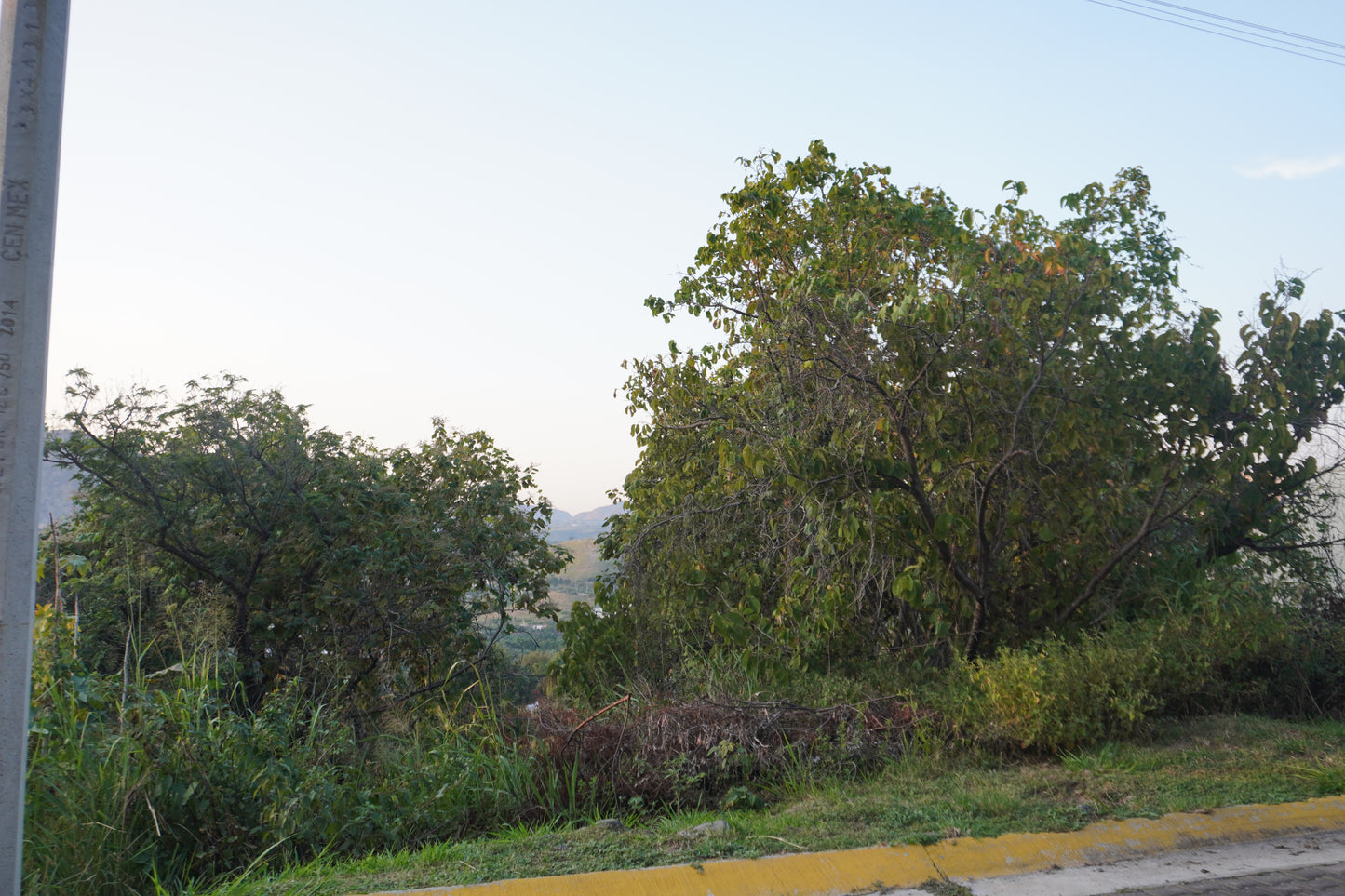 Terreno en las cañadas