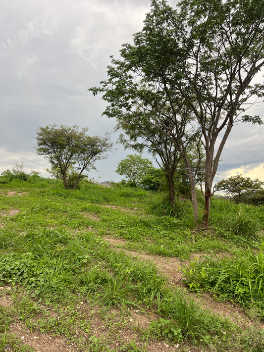 Terreno Plano en Las Cañadas country club