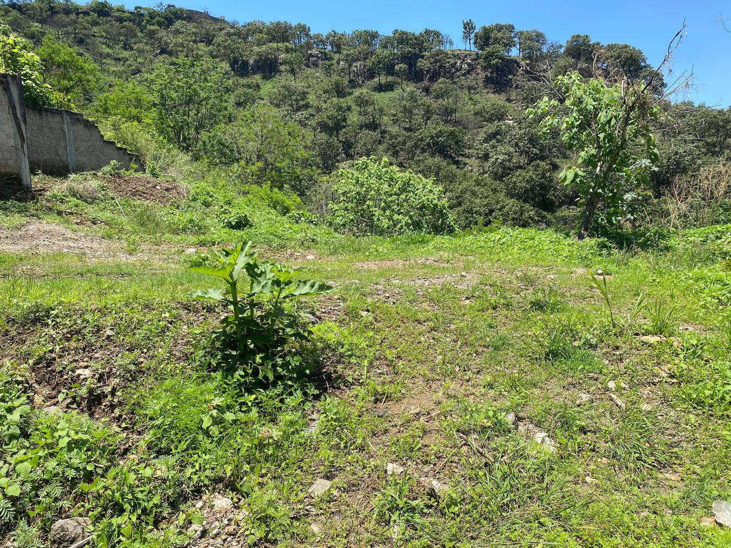 Terreno panorámico en las cañadas country club