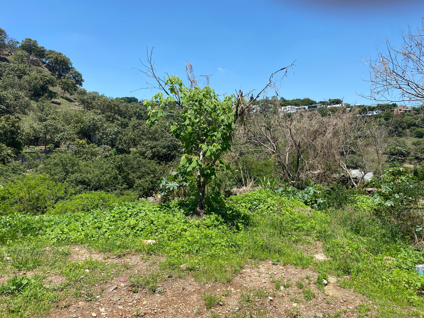 Terreno panorámico en las cañadas country club