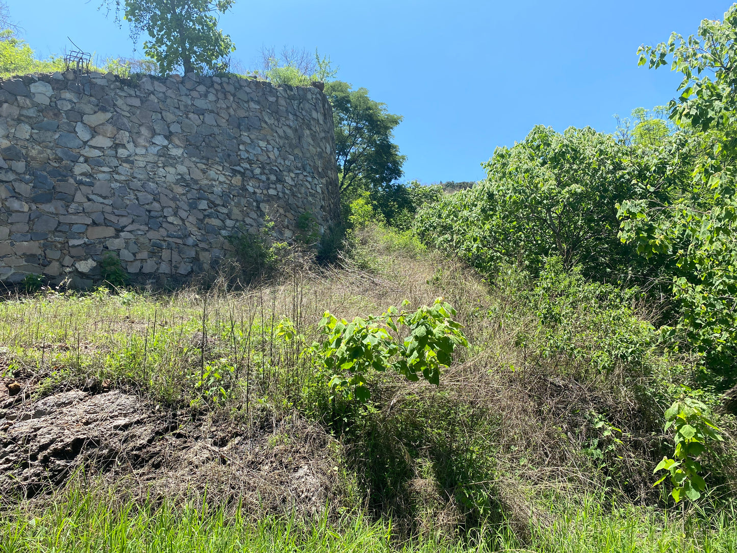 Terreno panorámico en las cañadas country club